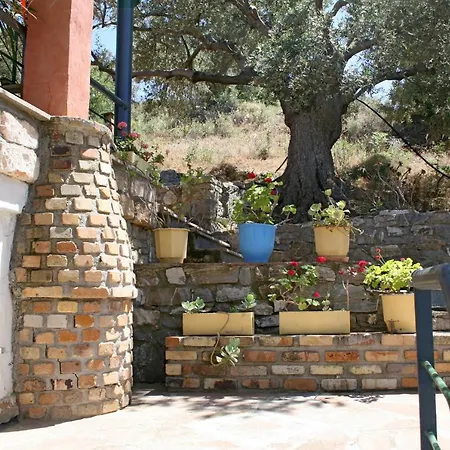 Xintara's Houses *